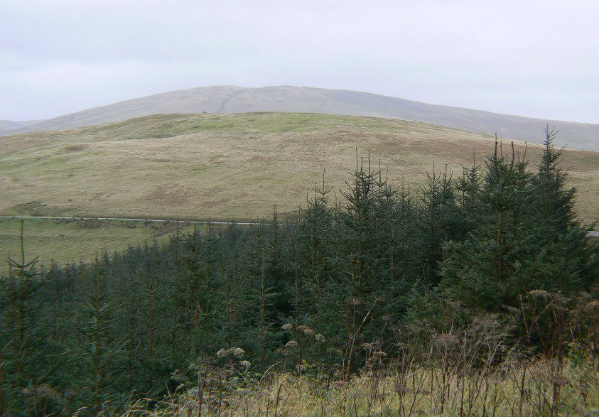 Swarth Fell Swarth Fell